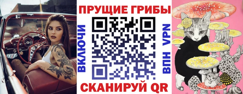 Псилоцибиновые грибы мухоморы Михайловка