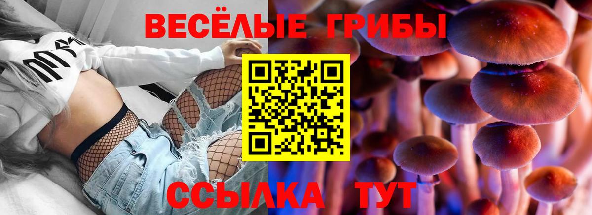 Галлюциногенные грибы прущие грибы  Галлюциногенные грибы мухоморы  Михайловка  Вход с VPN 