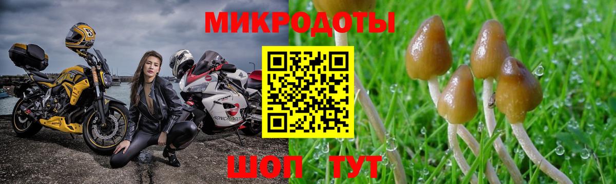 Галлюциногенные грибы Magic Shrooms Михайловка